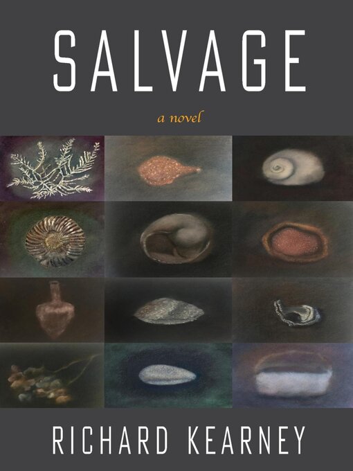 Title details for Salvage by Richard Kearney - Available